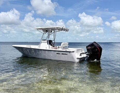 22' Sea Born Center Console — Perfect Sandbar and Fishing Boat