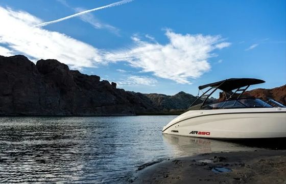 Adventurous & New 2024 Yamaha AR250 (3)