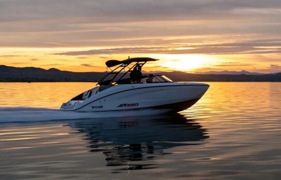 Adventurous & New 2024 Yamaha AR250 (3)