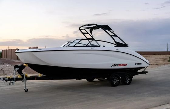 Adventurous & New 2024 Yamaha AR250 (3)