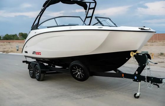 Adventurous & New 2024 Yamaha AR250 (3)