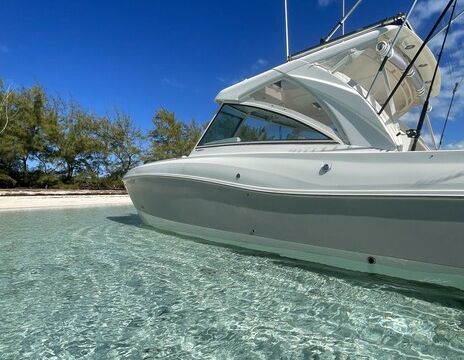 A Floating Living Room With Cat Stability and Comfort