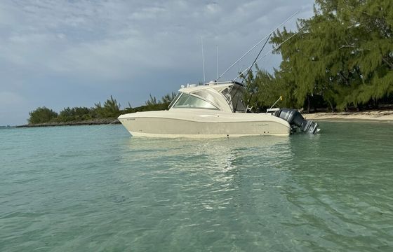 A Floating Living Room With Cat Stability and Comfort