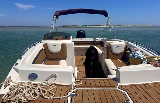 New! Perfect for Cruising StarCraft