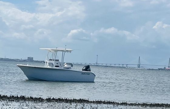 Cruise the Charleston harbor in a super clean 21ft Sea Pro