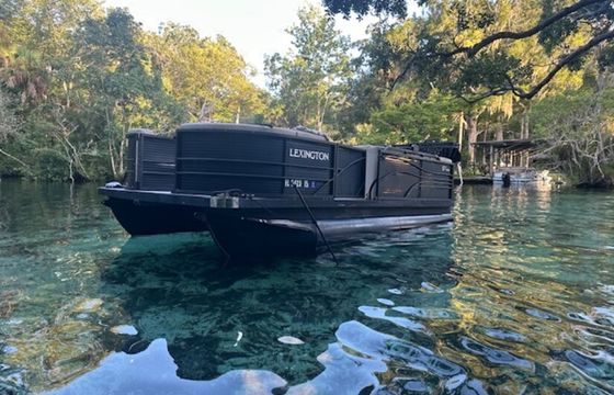 17' FISH SCALLOP SWIM WITH MANATEES