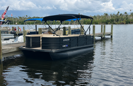 17' FISH SCALLOP SWIM WITH MANATEES