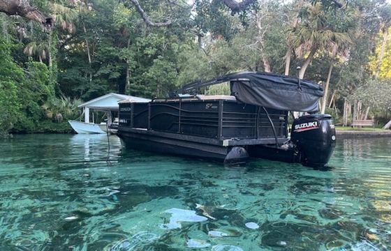 17' FISH SCALLOP SWIM WITH MANATEES