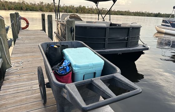 17' FISH SCALLOP SWIM WITH MANATEES