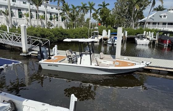 Perfect Mix of Comfort &amp; Performance: Sea Pro 248 Bay