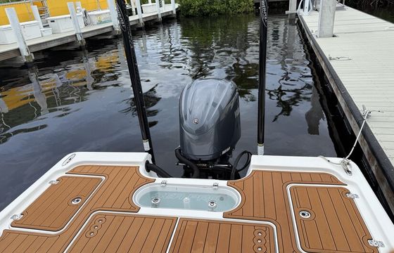 Perfect Mix of Comfort &amp; Performance: Sea Pro 248 Bay