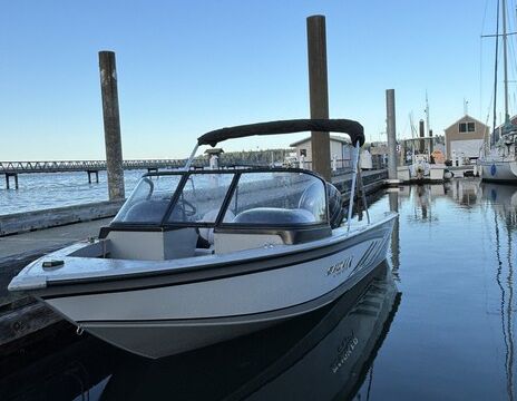 ***New*** 2024 Osprey - Fish - Crab - We Deliver!