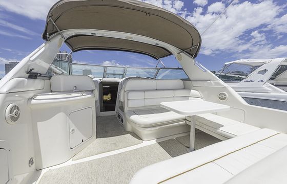 Diversey Harbor 36' Sea Ray Floating Oasis