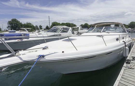 Diversey Harbor 36' Sea Ray Floating Oasis