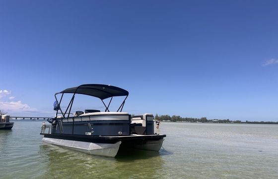 Relaxing 10-Passenger viagio pontoon