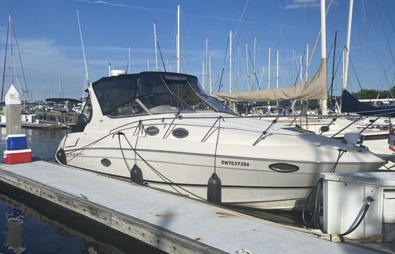 CRUISE IN STYLE WITH MAXIMUM COMFORT