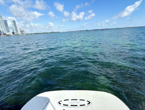 Stunning 35ft Sea Ray Sundancer Yacht in Miami for 12 Guests