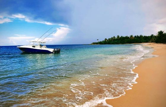 GRADY WHITE 38 - Icacos and Palominos Island