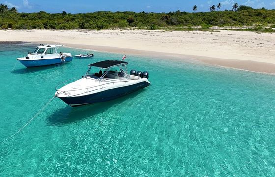 GRADY WHITE 38 - Icacos and Palominos Island