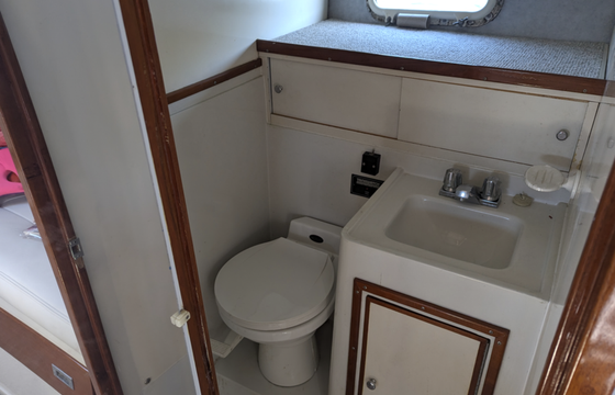 Cruise on our 38ft luxury Magnum Yacht
