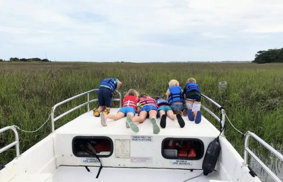 Ultimate Folly Beach ecotour, dolphin tours, sunset cruise