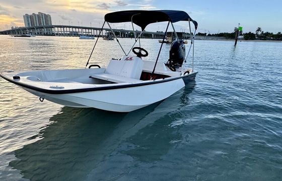 13ft Boston Whaler Sport – Riviera Beach, West Palm
