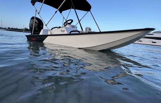 13ft Boston Whaler Sport – Riviera Beach, West Palm