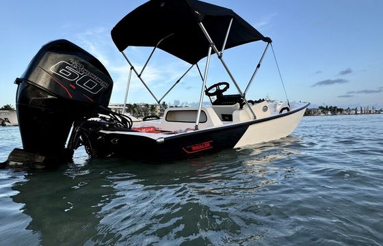 13ft Boston Whaler Sport – Riviera Beach, West Palm