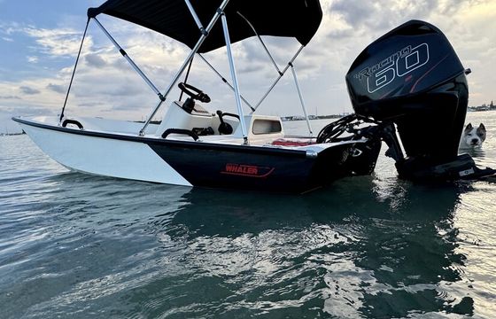 13ft Boston Whaler Sport – Riviera Beach, West Palm