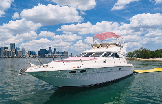 MIAMI'S NEWEST PINK YACHT! 45 FT Fly bridge! Relax, Party, and Enjoy!