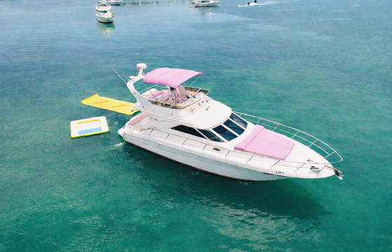 MIAMI'S NEWEST PINK YACHT! 45 FT Fly bridge! Relax, Party, and Enjoy!