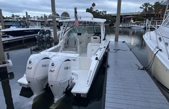 2025 Pursuit 266DC –Luxury Day Charter with Captain in St. Pete!