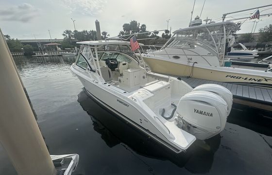 2025 Pursuit 266DC –Luxury Day Charter with Captain in St. Pete!