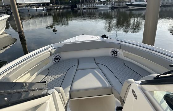 2025 Pursuit 266DC –Luxury Day Charter with Captain in St. Pete!