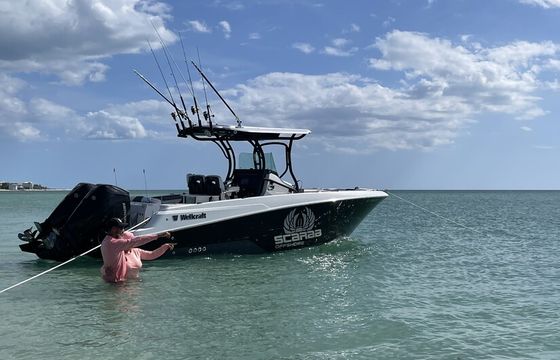 Private Coastal Escape, Sandbars, Shelling, Sunset, Island, Family Fun