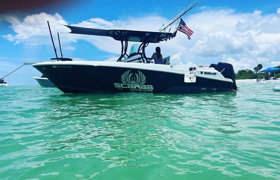 Private Coastal Escape, Sandbars, Shelling, Sunset, Island, Family Fun