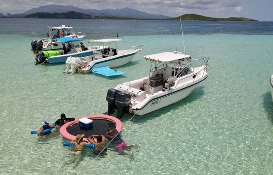 Boston Whaler 24’ – Smooth Ride to Icacos/Palomino (Captain Included)