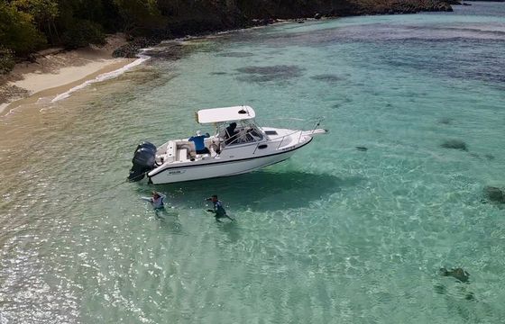 Boston Whaler 24’ – Smooth Ride to Icacos/Palomino (Captain Included)