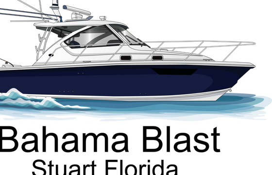 36' Luxury Cruising and Fishing Pursuit Boat