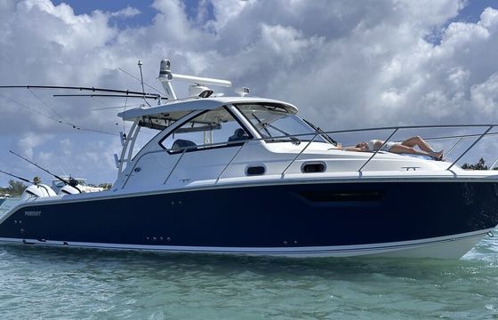 36' Luxury Cruising and Fishing Pursuit Boat