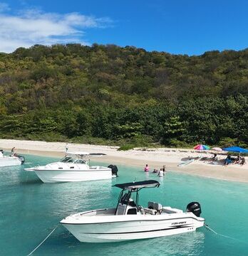 Caribbean Escape: Cayo Icacos & Palomino Island Adventure