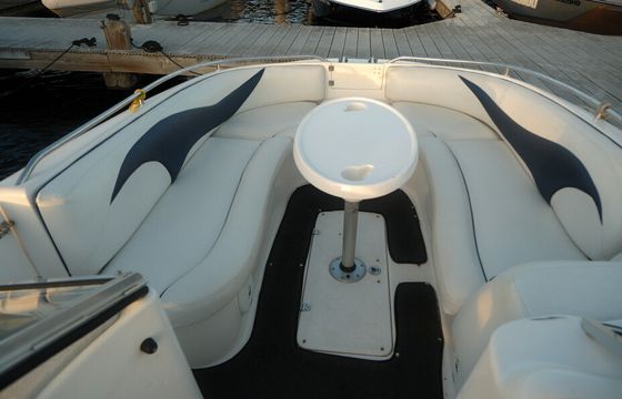 Explore Lake Washington in Our SeaSwirl 237 Sundeck