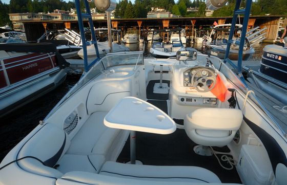 Explore Lake Washington in Our SeaSwirl 237 Sundeck