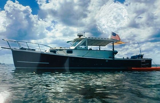 NY Harbor Tours and Sunset Cruise to Statue of Liberty