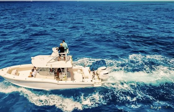 Having Fun Yet? Offshore Fishing Charters
