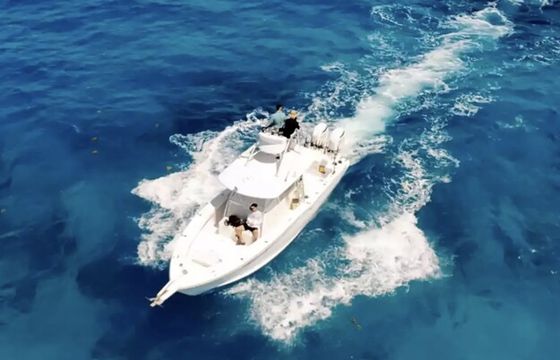 Having Fun Yet? Offshore Fishing Charters