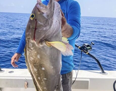 Having Fun Yet? Offshore Fishing Charters