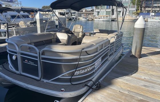 Set Sail in Style: 20ft Pontoon Adventure for 10 in Newport Beach!