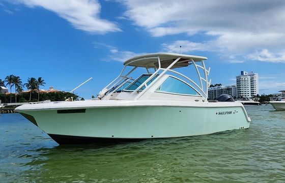Sandbar Fun in South Florida