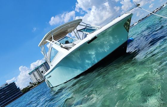 Sandbar Fun in South Florida